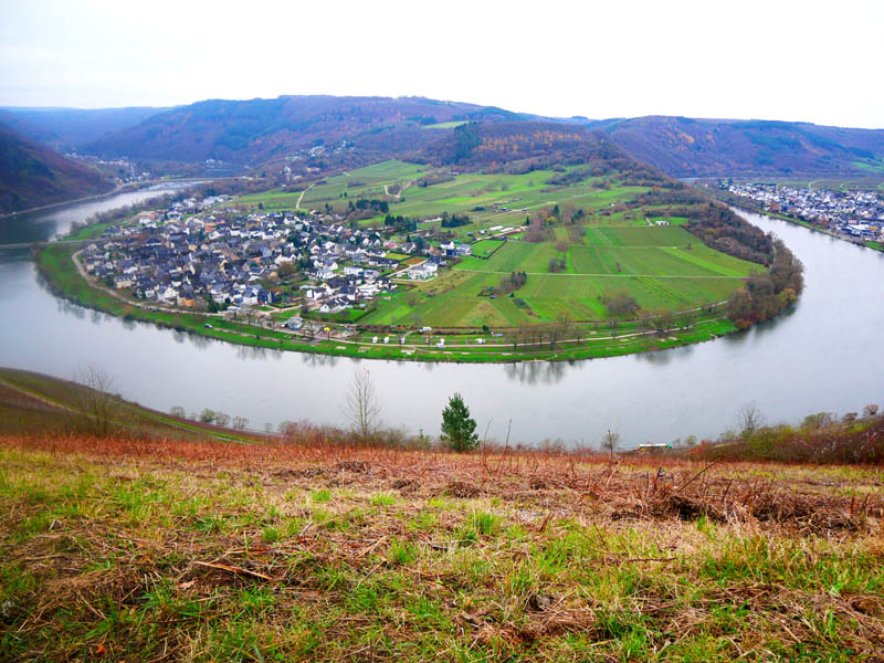 Moselsteig- und Kluckertspfadrunde bei Kröv