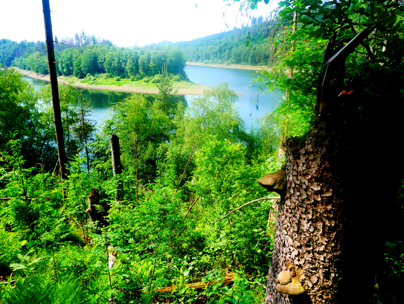 Bergischer Panoramasteig 4. Etappe Dhünn - Radevormwald
