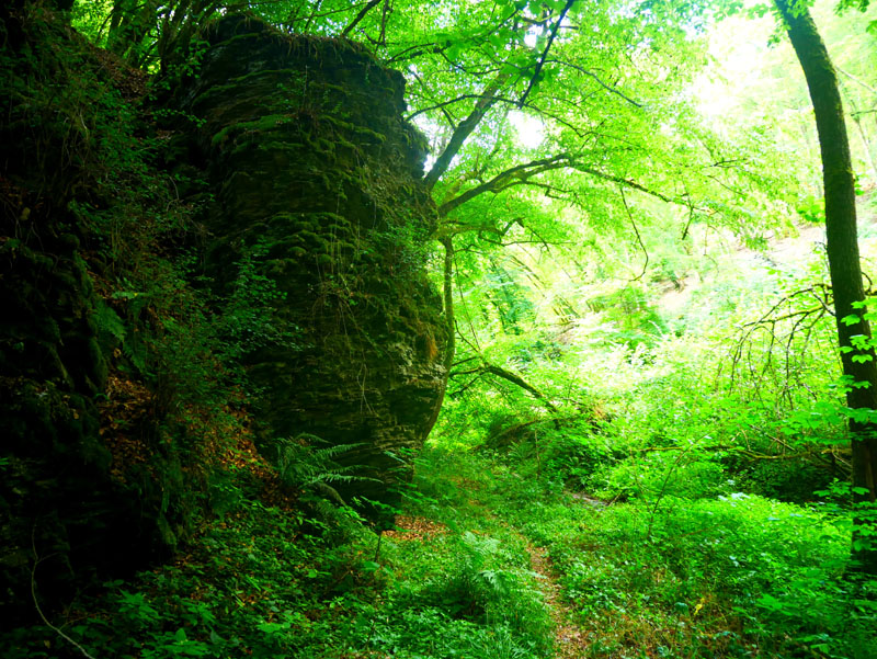 Lützbachtalrunde bei Dommershausen